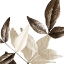Picture of CHOCOLATE LEAVES 2