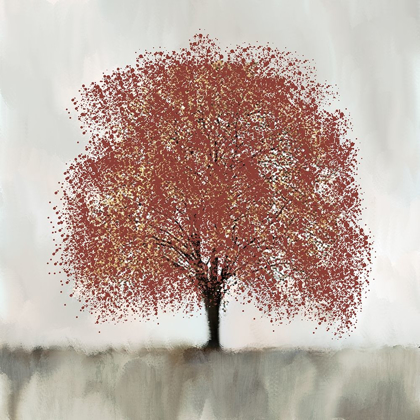 Picture of BURNT ORANGE TREE