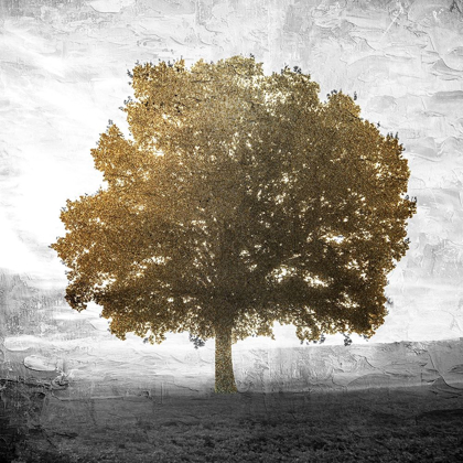 Picture of GOLDEN TREE