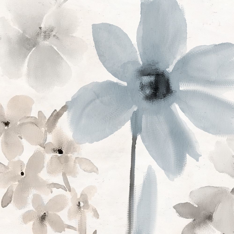 Picture of SPRING BLUE 1