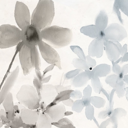 Picture of SPRING BLUE 2