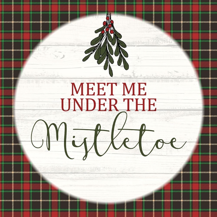Picture of MISTLETOE