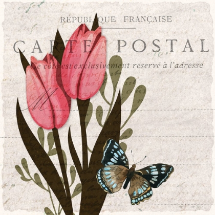 Picture of TULIP POSTCARD 1
