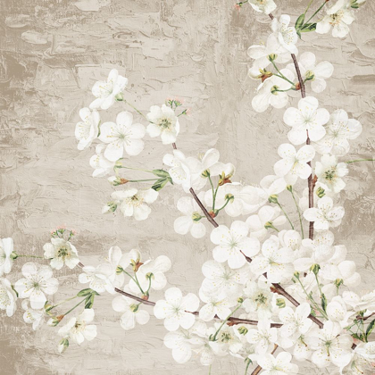 Picture of BLOSSOMS
