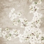Picture of BLOSSOMS