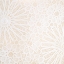 Picture of LACE 1