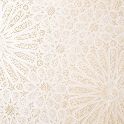 Picture of LACE 3