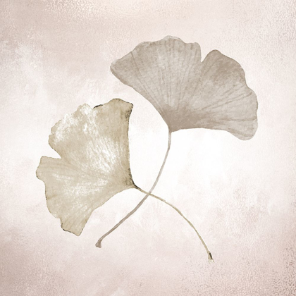 Picture of GINKGO 1