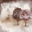 Picture of DISTANCE 2