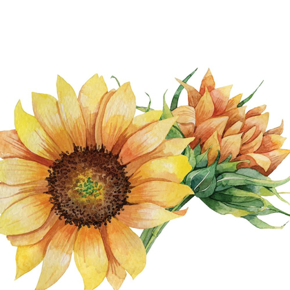 Picture of SUNFLOWER POSTCARD 1 V2
