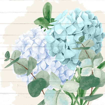 Picture of HYDRANGEA 2