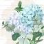 Picture of HYDRANGEA 2
