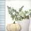 Picture of PUMPKIN POT 1
