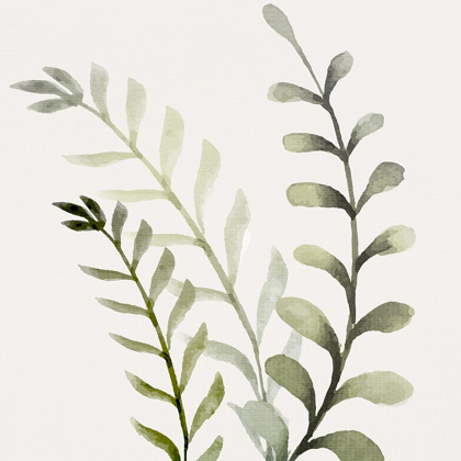 Picture of WATERCOLOR SAGE 1