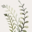 Picture of WATERCOLOR SAGE 1