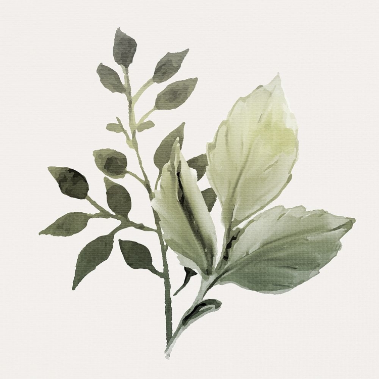 Picture of WATERCOLOR SAGE 2