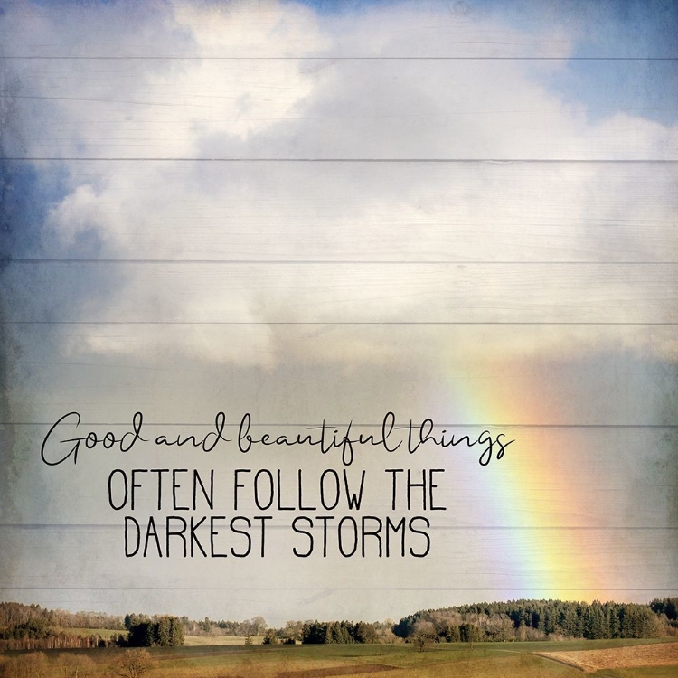 Picture of AFTER THE STORM