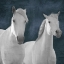 Picture of TWO