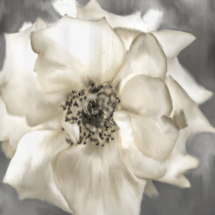 Picture of GOLDEN ROSE