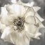 Picture of GOLDEN ROSE