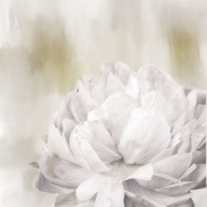 Picture of HIDDEN