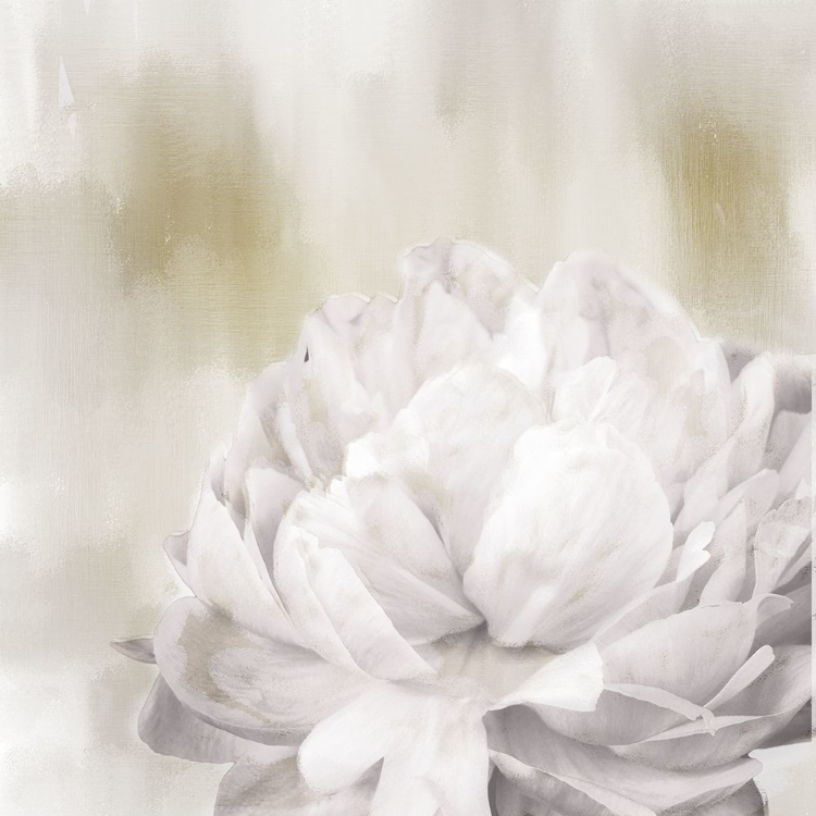 Picture of HIDDEN