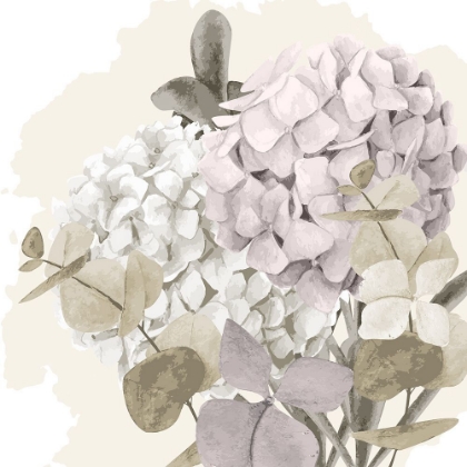 Picture of HYDRANGEA 2 V2