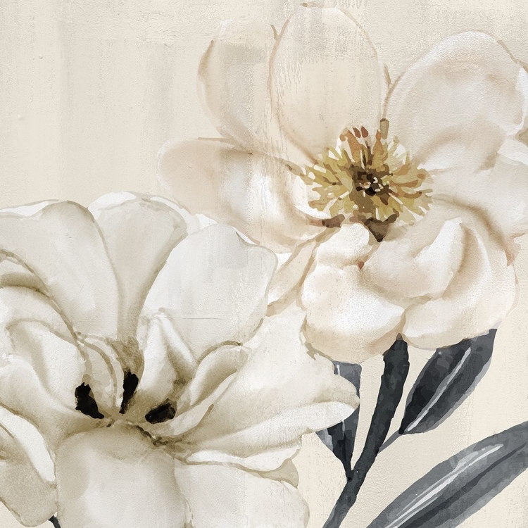 Picture of SPRING BLOOMS