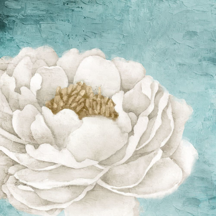 Picture of WHITE PEONY 2