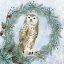 Picture of WINTER OWL 3