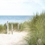 Picture of EAT SLEEP BEACH 5
