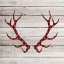 Picture of ANTLERS 2