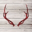 Picture of ANTLERS 3