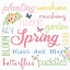 Picture of SPRING