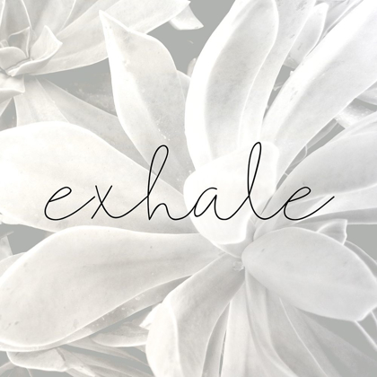 Picture of EXHALE GRAY