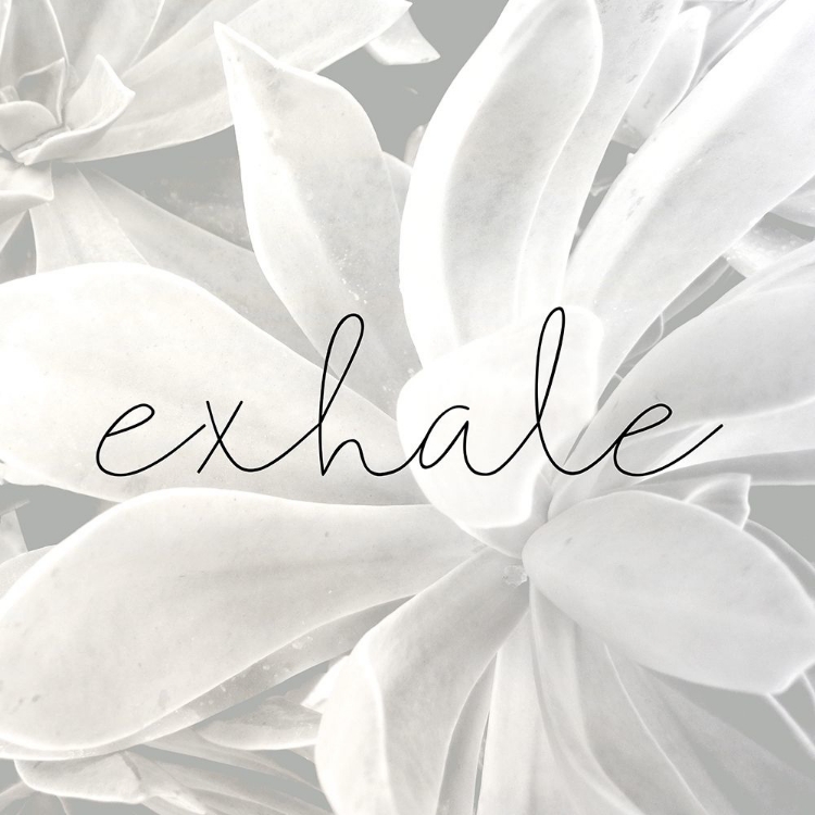Picture of EXHALE GRAY