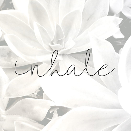 Picture of INHALE GRAY