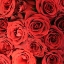 Picture of PARIS IDEA LOVE 3