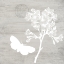 Picture of BUTTERFLY COTTAGE 2