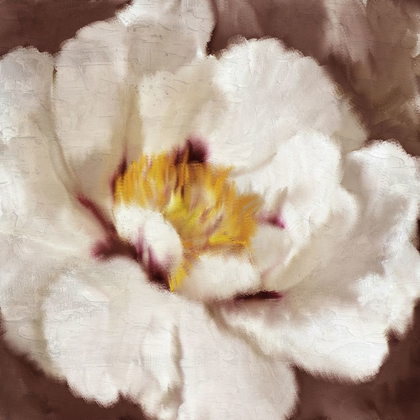Picture of FALL BLOOMS