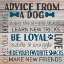 Picture of ADVICE FROM A DOG