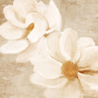 Picture of WARM FLORAL 1