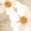 Picture of WARM FLORAL 2