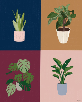 Picture of FOUR PLANTS