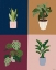 Picture of FOUR PLANTS