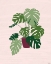Picture of BIG PLANT
