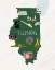 Picture of ILLINOIS ICONS