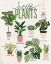 Picture of VINTAGE HOUSE PLANTS