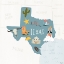 Picture of TEXAS ICONS