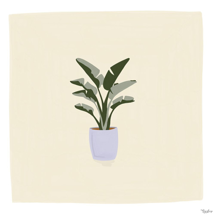 Picture of PLANT